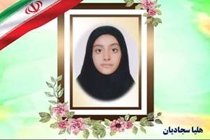 کسب مدال طلا در مسابقات فدراسیون کونگ فو